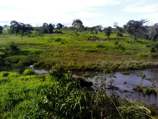 Foto 1 - Fazenda no municipio de alto horizonte go